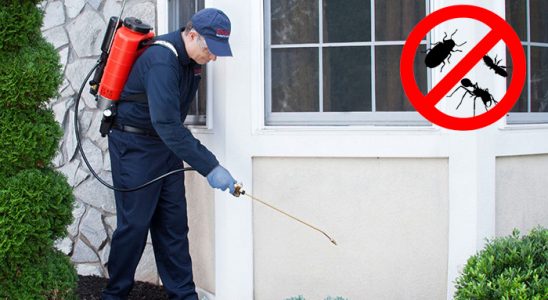 Perşembe Kene İlaçlama böcek ilaçlama ve haşere kontrolü — ilaclama-tr.com